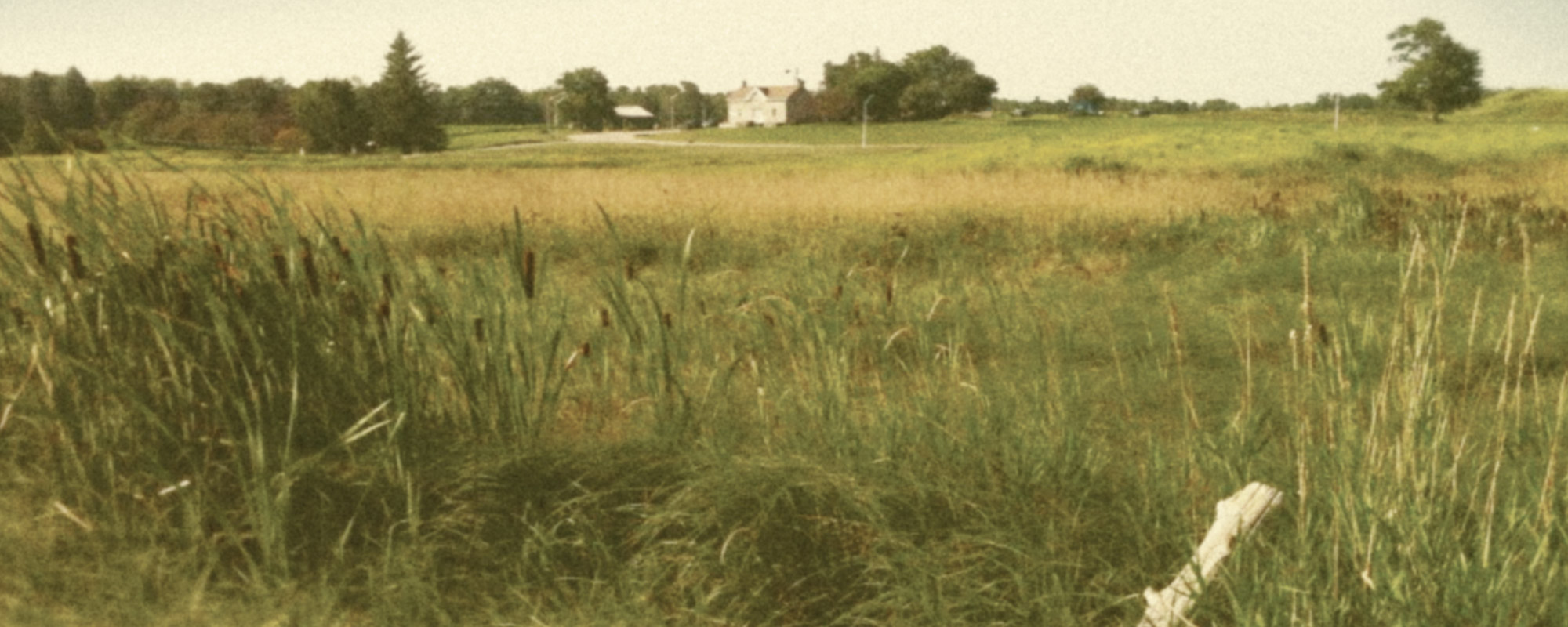 Audrey Meadows Charleston Homes